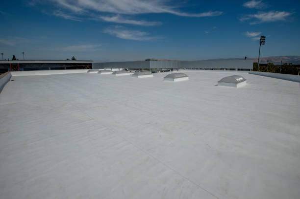 Best Roof Insulation Installation  in New Burlington, OH